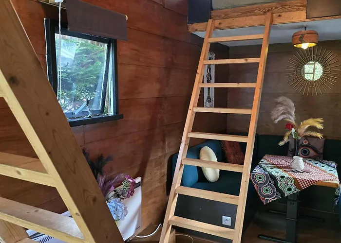 Ardennen Tiny Wielske *